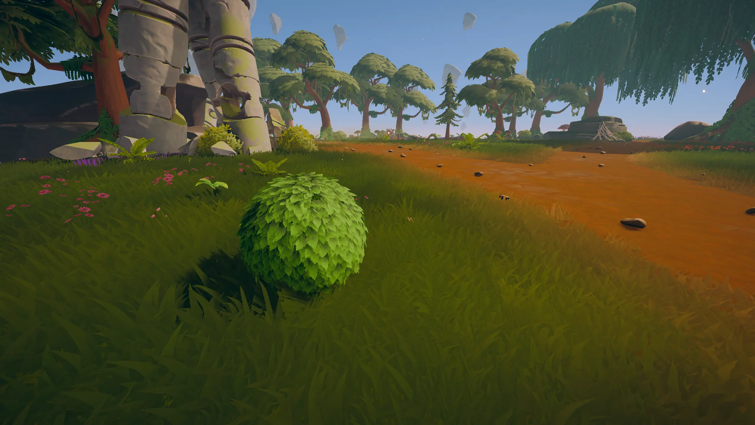 Sky grove at morning